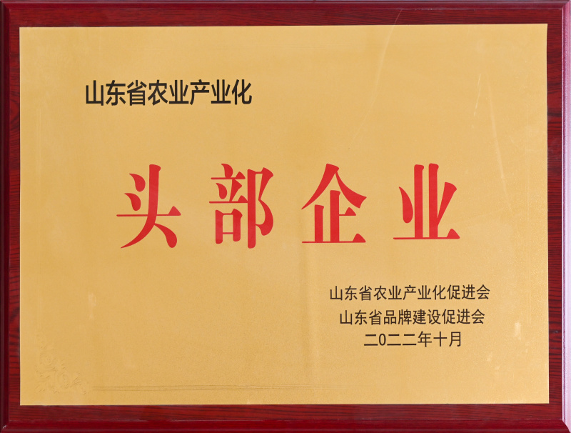 頭部企業