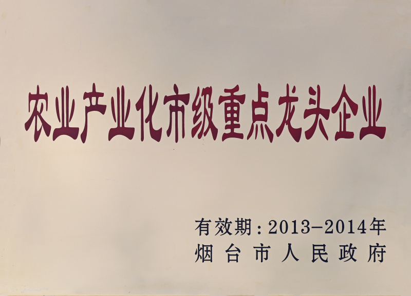 龍頭企業2013-2014